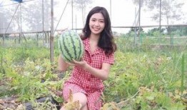 免费吃瓜福利网红,网红带你畅享网络盛宴！