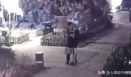老街最新爆料消息视频,最新爆料视频深度解析