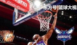 黄蜂爆料乔丹了吗视频大全,揭秘篮球传奇背后的惊人真相