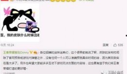 王者快讯最新爆料消息,最新爆料揭秘神秘英雄，游戏格局或将再起风云