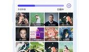 爆料图片视频下载软件有哪些,一网打尽全网资源