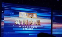 沈阳新闻媒体爆料,重大事件引发社会关注