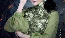 老九门在线观看全集,揭秘古墓探险传奇，在线观看全集，尽享悬疑之旅