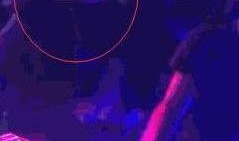 成都最新爆料新闻酒吧,揭秘最新热门酒吧盘点