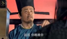 奸臣在线免费观看,揭秘宫廷权谋，免费观看尽享宫廷风云