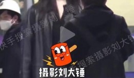 刘大锤爆料真假对比视频,视频对比揭示真相！