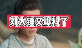 刘大锤爆料真假对比视频,视频对比揭示真相！