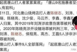 网友爆料陈某志事件视频,视频揭露惊人真相