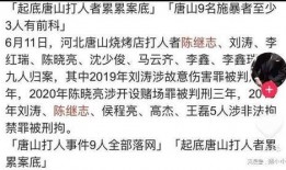网友爆料陈某志事件视频,视频揭露惊人真相