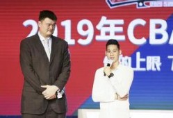 杨毅爆料林书豪视频,揭秘篮球巨星背后的故事