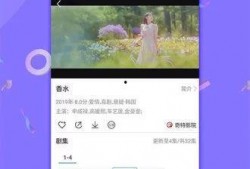 今日菜价爆料新闻视频下载,视频揭秘市场动态，价格涨跌一览无余