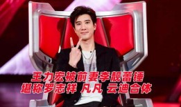 王力宏爆料罗志祥视频,真相与争议