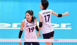 韩国女排爆料视频,揭秘训练幕后与队员心声